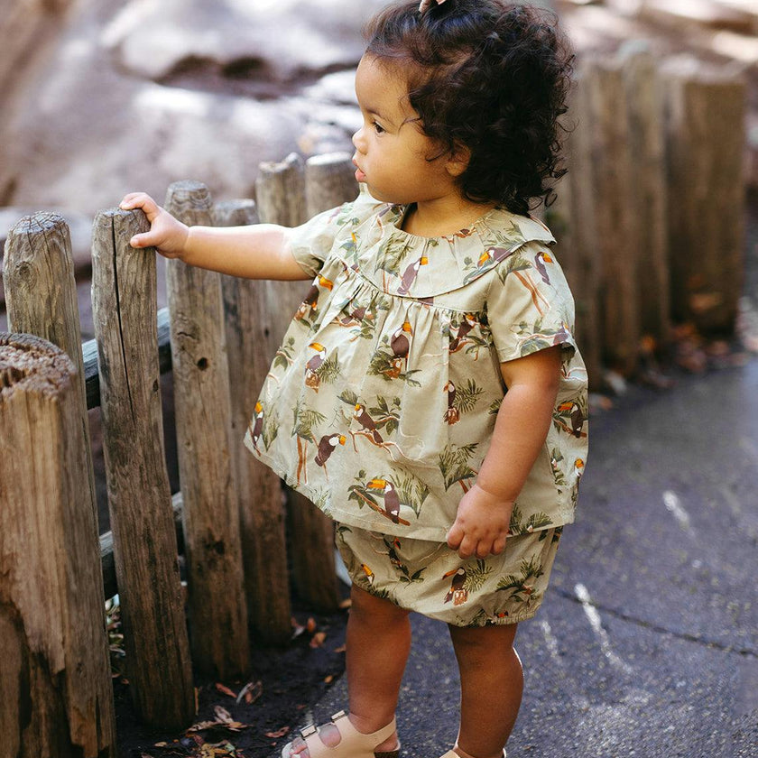 Ruffle Dress & Bloomers