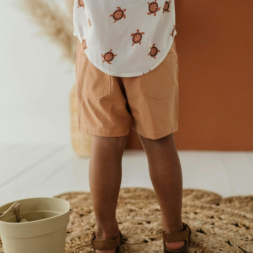 Boy's Dressy Shorts Sunset