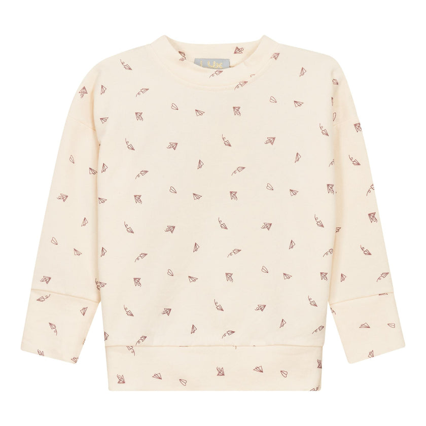 Airplane Printed Sweatshirt