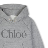 Gray Logo Hooded Sweatshirt
