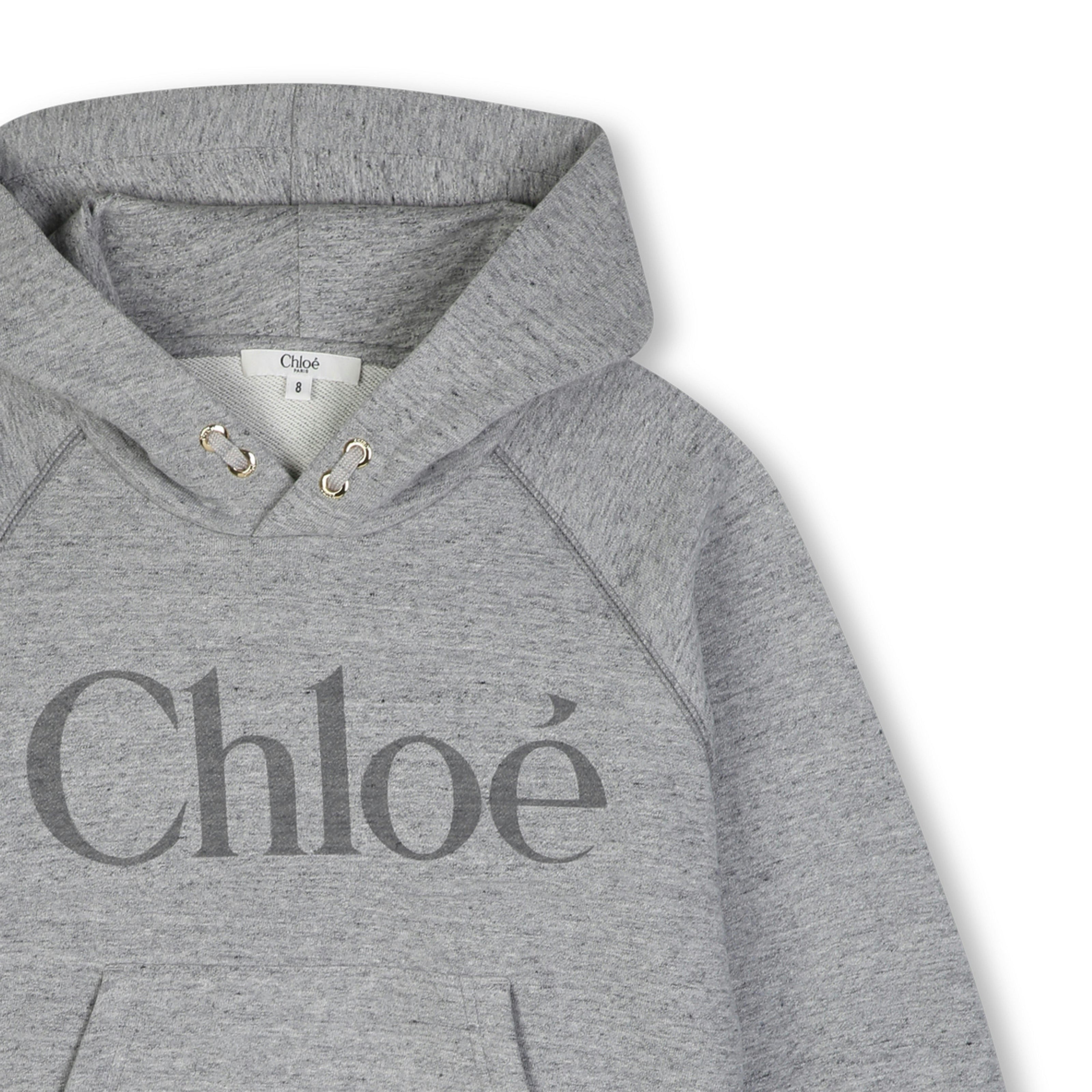 Gray Logo Hooded Sweatshirt