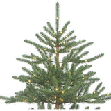 7-Foot Pre-Lit Warm White LED Mountain Pine Tree