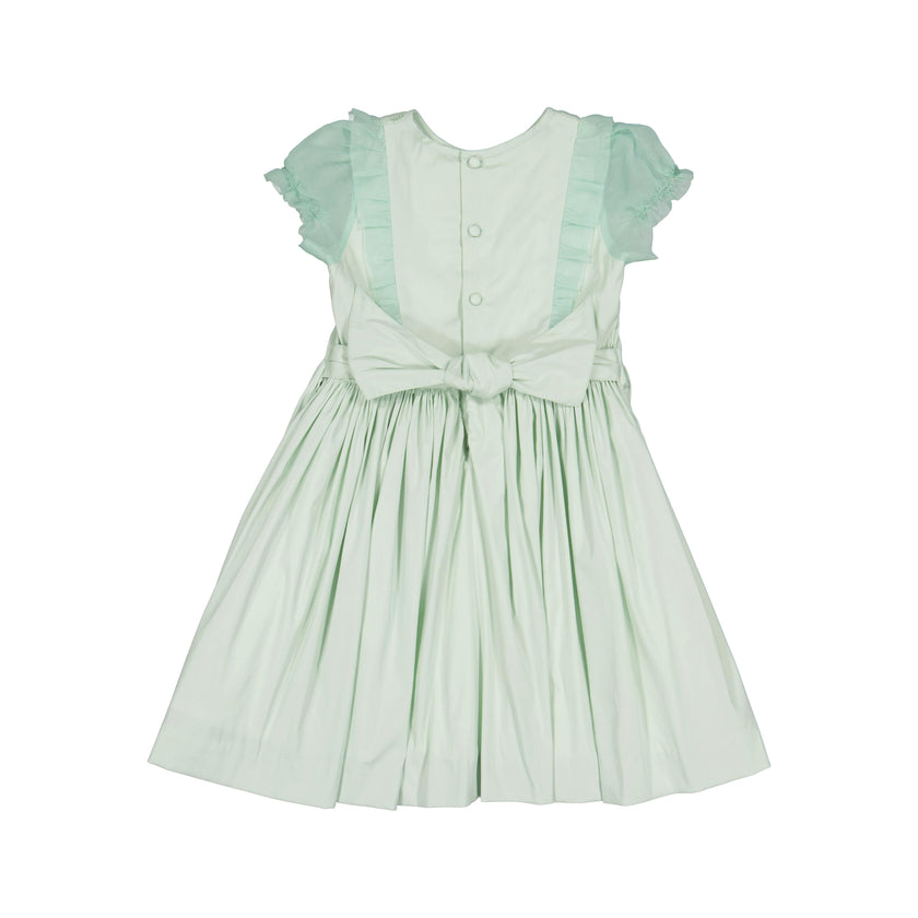 Camelia Mint Organza Sleeves Dress