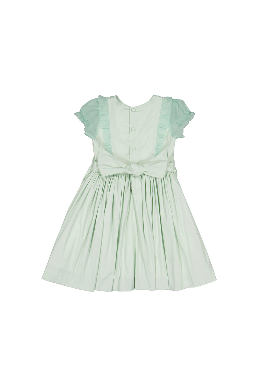 Camelia Mint Organza Sleeves Dress