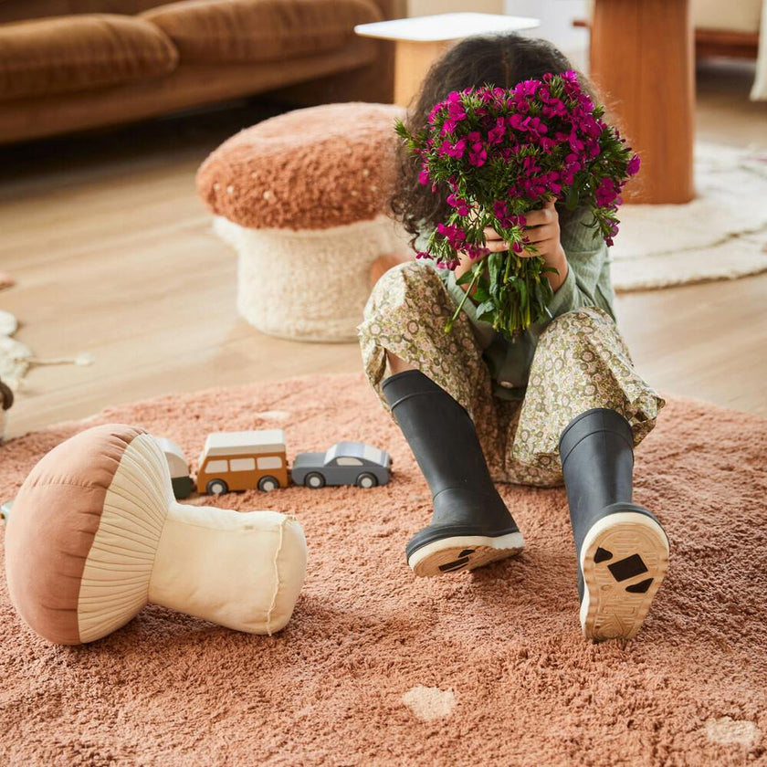 Boletus Mushroom Cushion