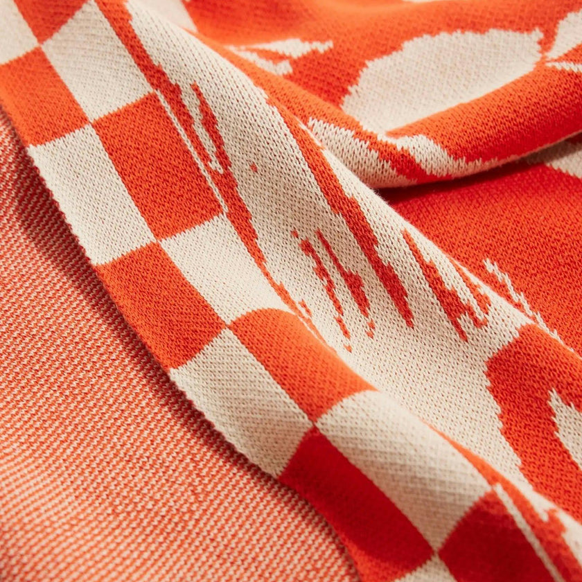 Imagination Knit Blanket