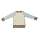 Boys Terry Sweatshirt in Sky Blue