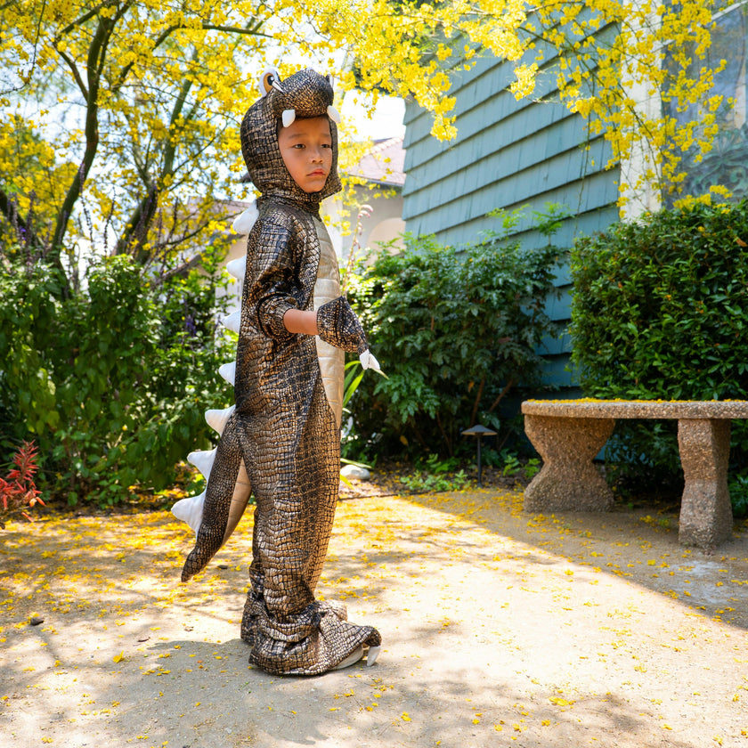 A Leading Role Signature T-Rex Dinosaur Child Dress Up