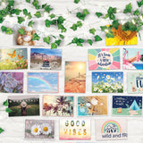 3C4G: Photo Collage & Ivy Fairy Lights - 28 pcs