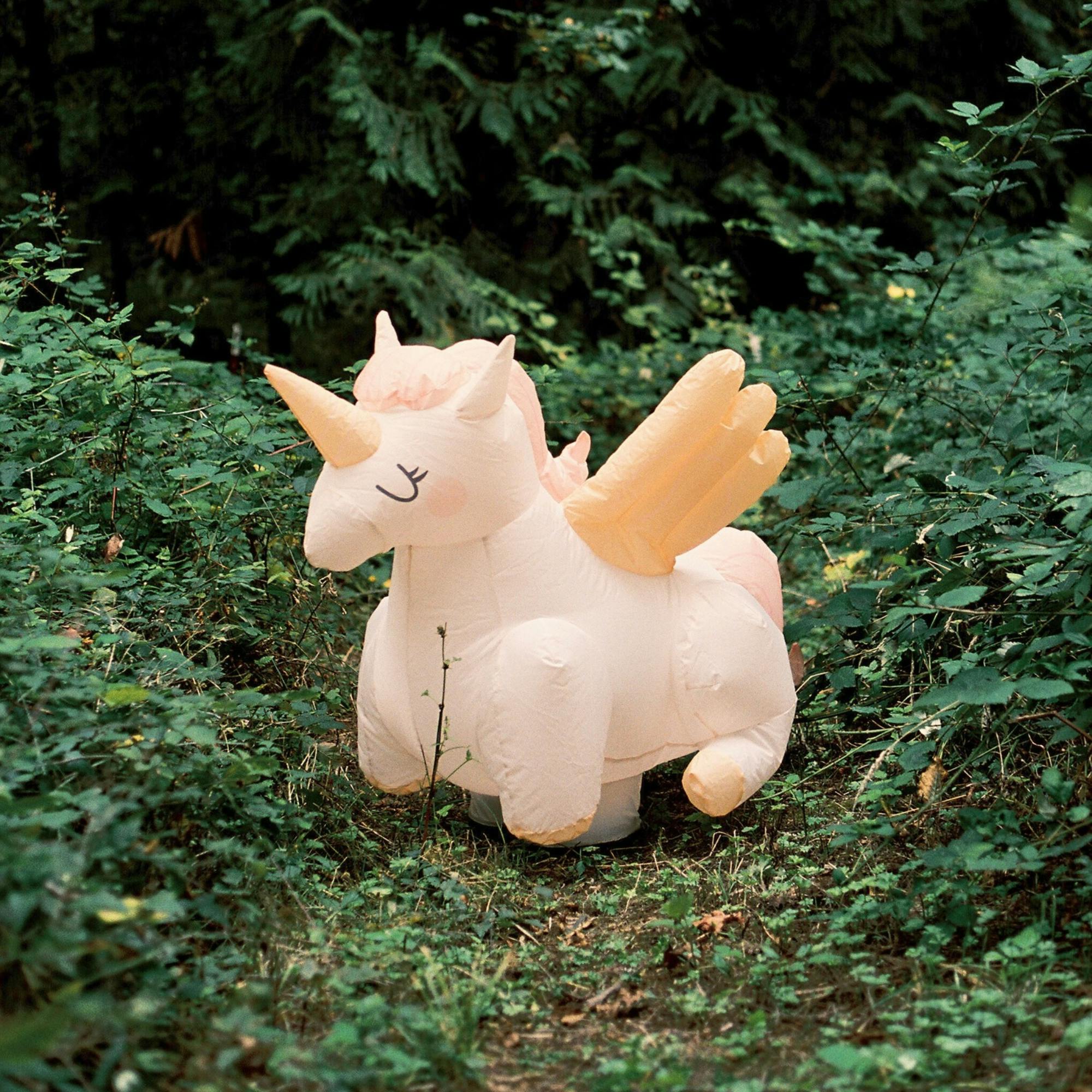 Moving Friend | Unicorn PRE-ORDER 11.13 DELIVERY