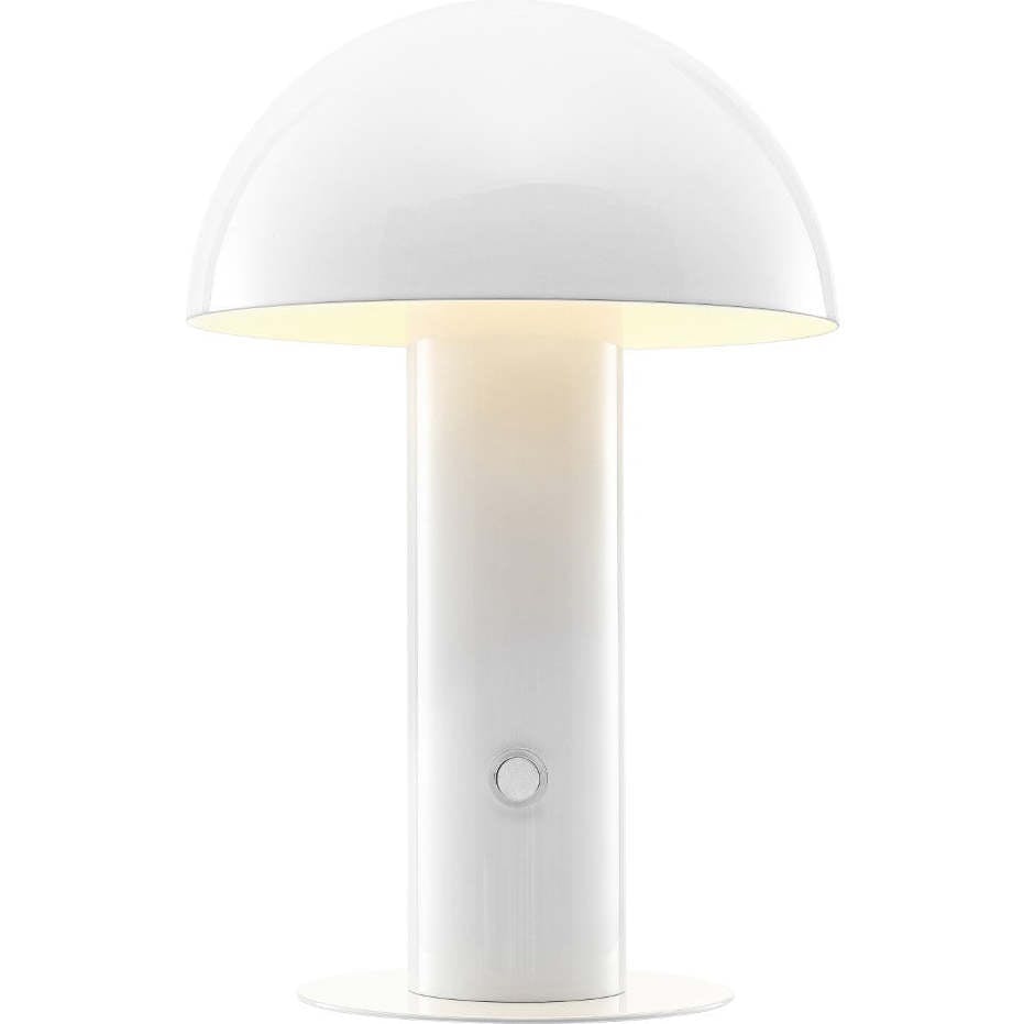 Boletus 10.75