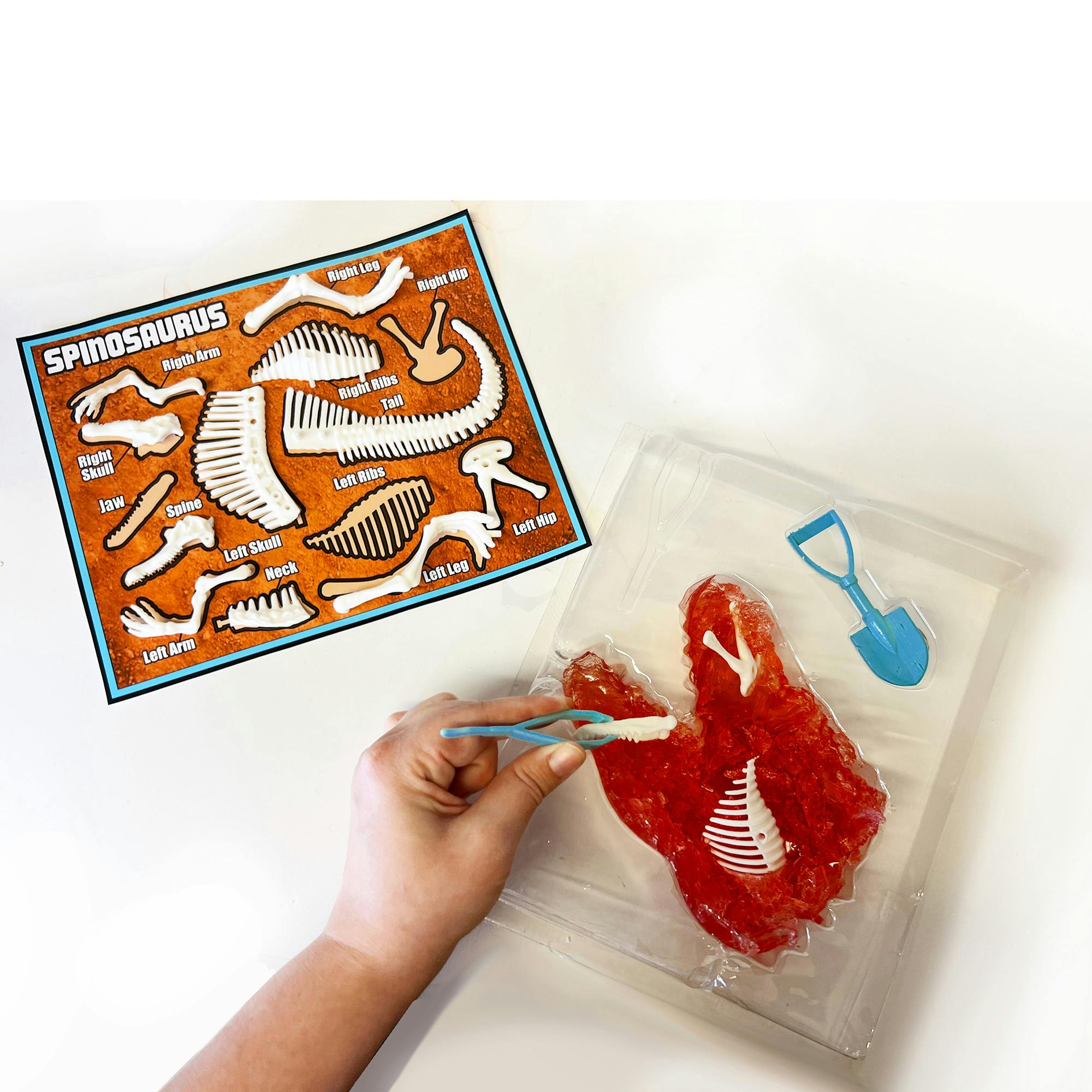 Dissect-It: Dino Dig