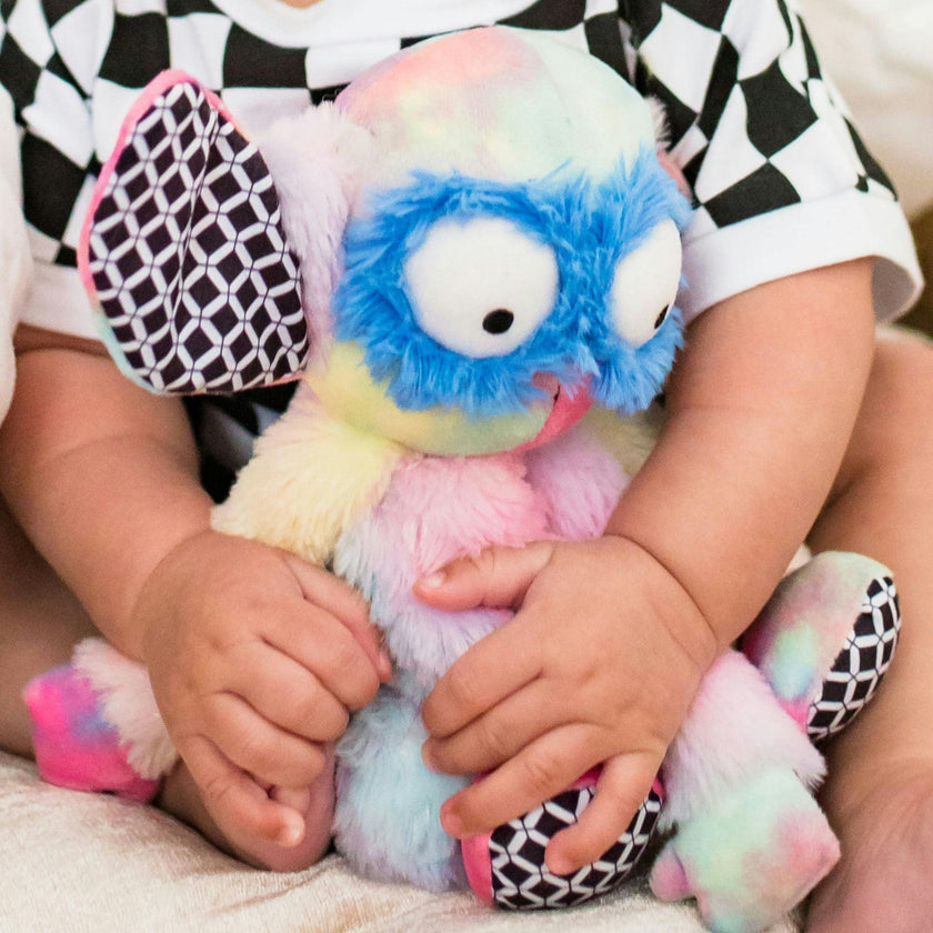Rainbow Wobby Soft Toy & Infant Novel Set