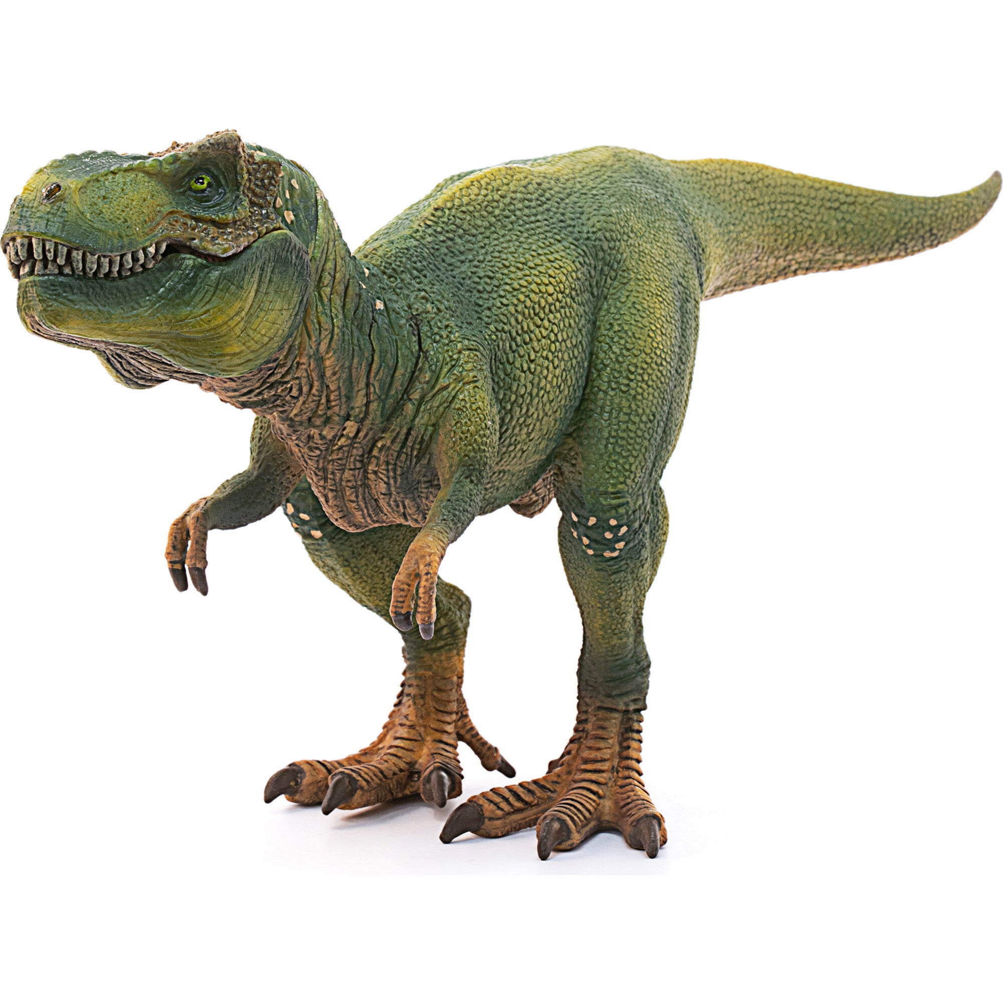 Schleich Tyrannosaurus Rex 11