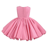 Rose Kalina Tulle Pleated Dress