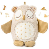 Cloud b  Nighty Night Owl® Smart Sensor®