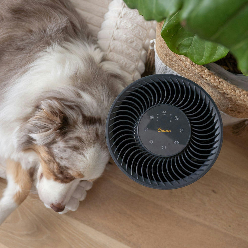 True-HEPA Tower Air Purifier with Air Quality Indicator and Child Lock, Up To 500 Sq Ft