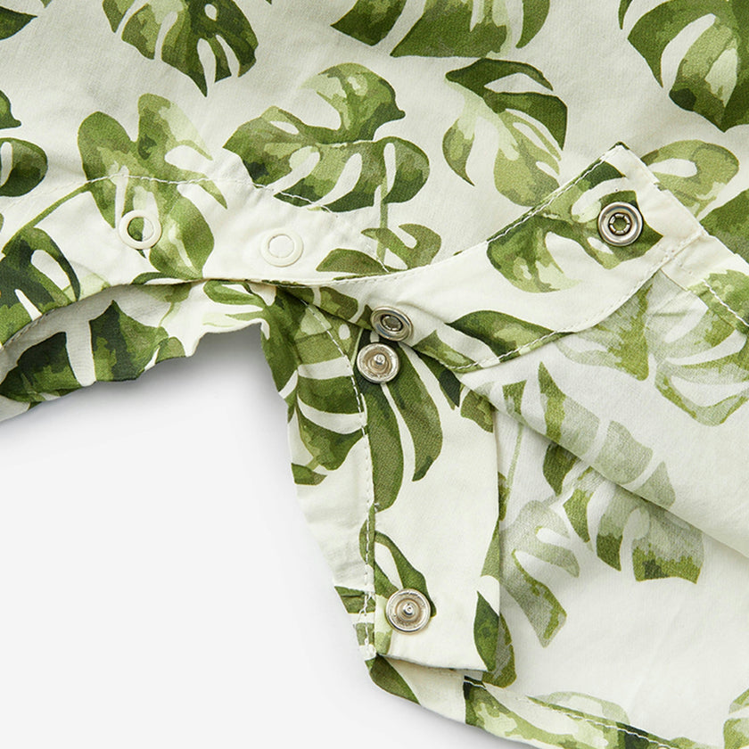 Island Leaf Collared Shortall