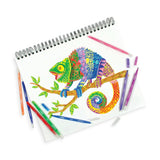 Switch-Eroo Color Changing Markers