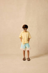 Board Shorts in Rainbow Sherbet