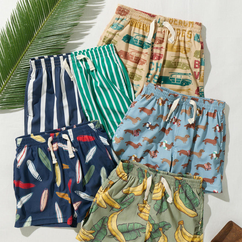 Baby Boys Swim Trunk - Multi Stripe