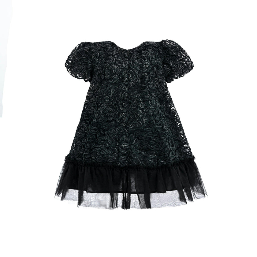 Black Embroidered Tulle Milan Dress