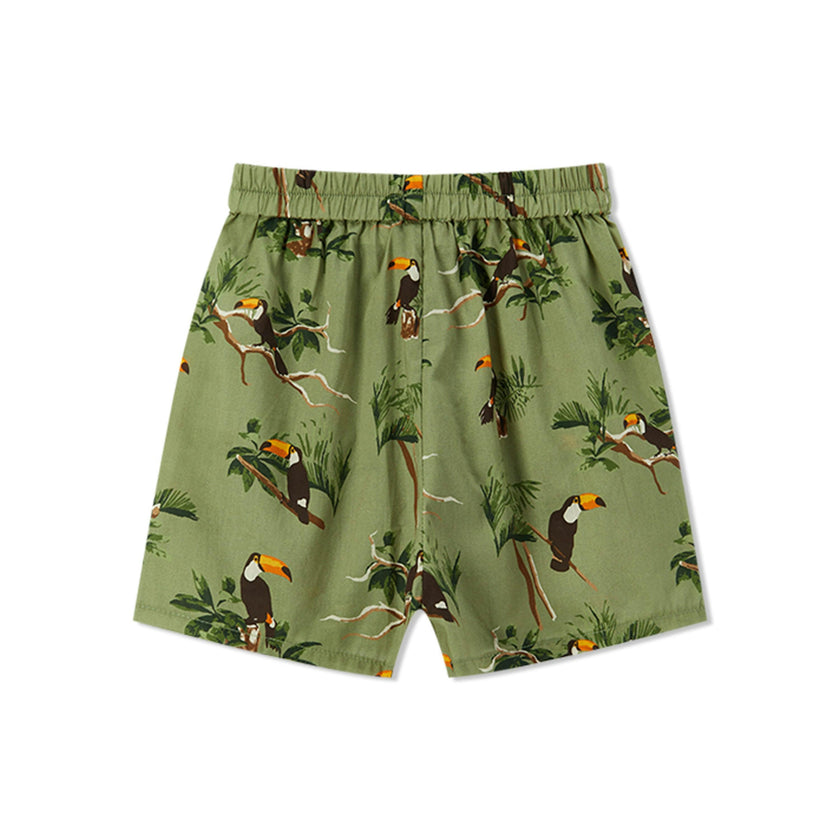 Collar Button-Up Shirt and Shorts Set