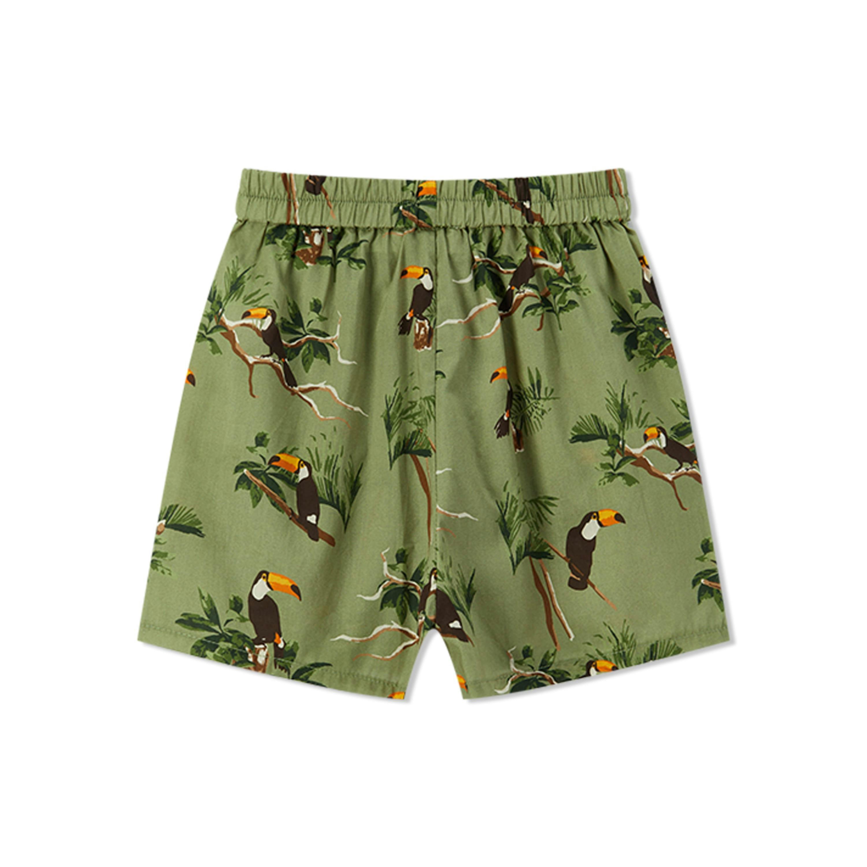 Collar Button-Up Shirt and Shorts Set