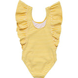 Sunshine Stripe Wide Frill Swimsuit