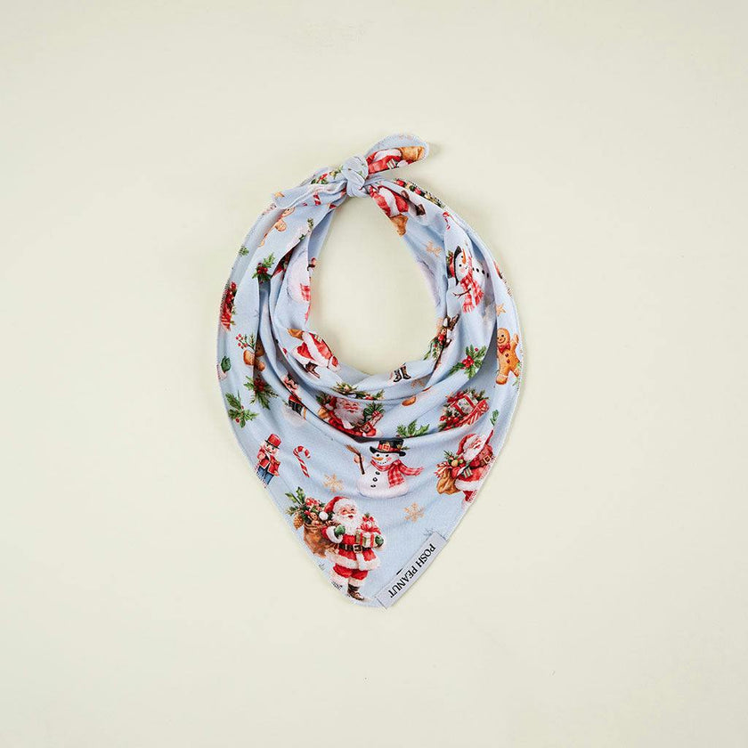 Saint Nicolas Dog Bandana