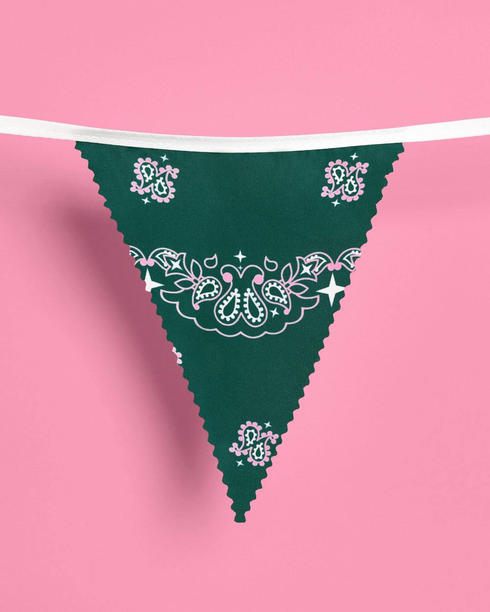 Camp Bunting Banner - gingham garland