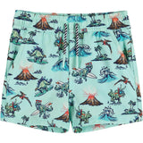 Surfing Boardshort