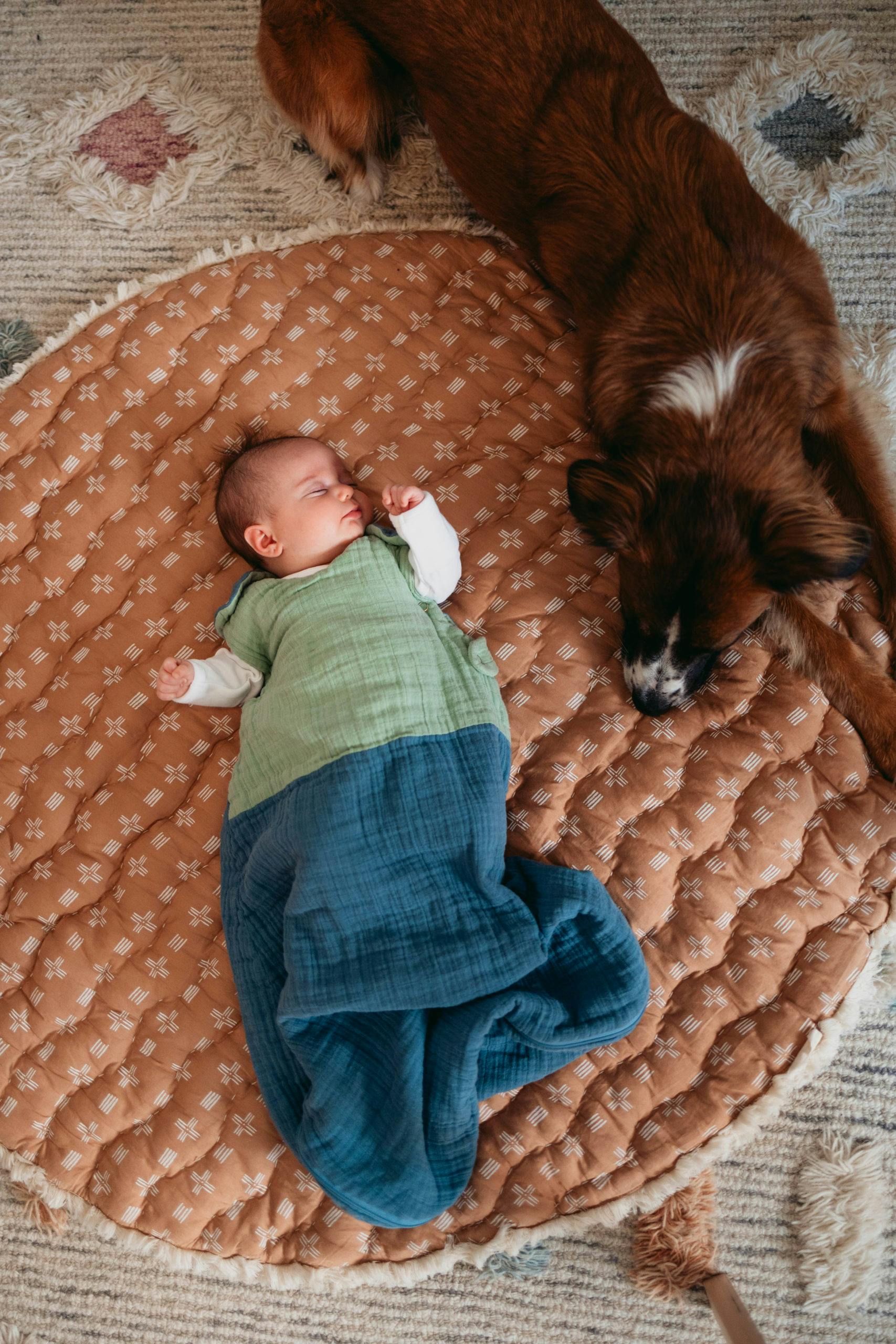 Kaleidoscope 1.2 TOG Wearable Blanket (Riverstone & Evergreen)
