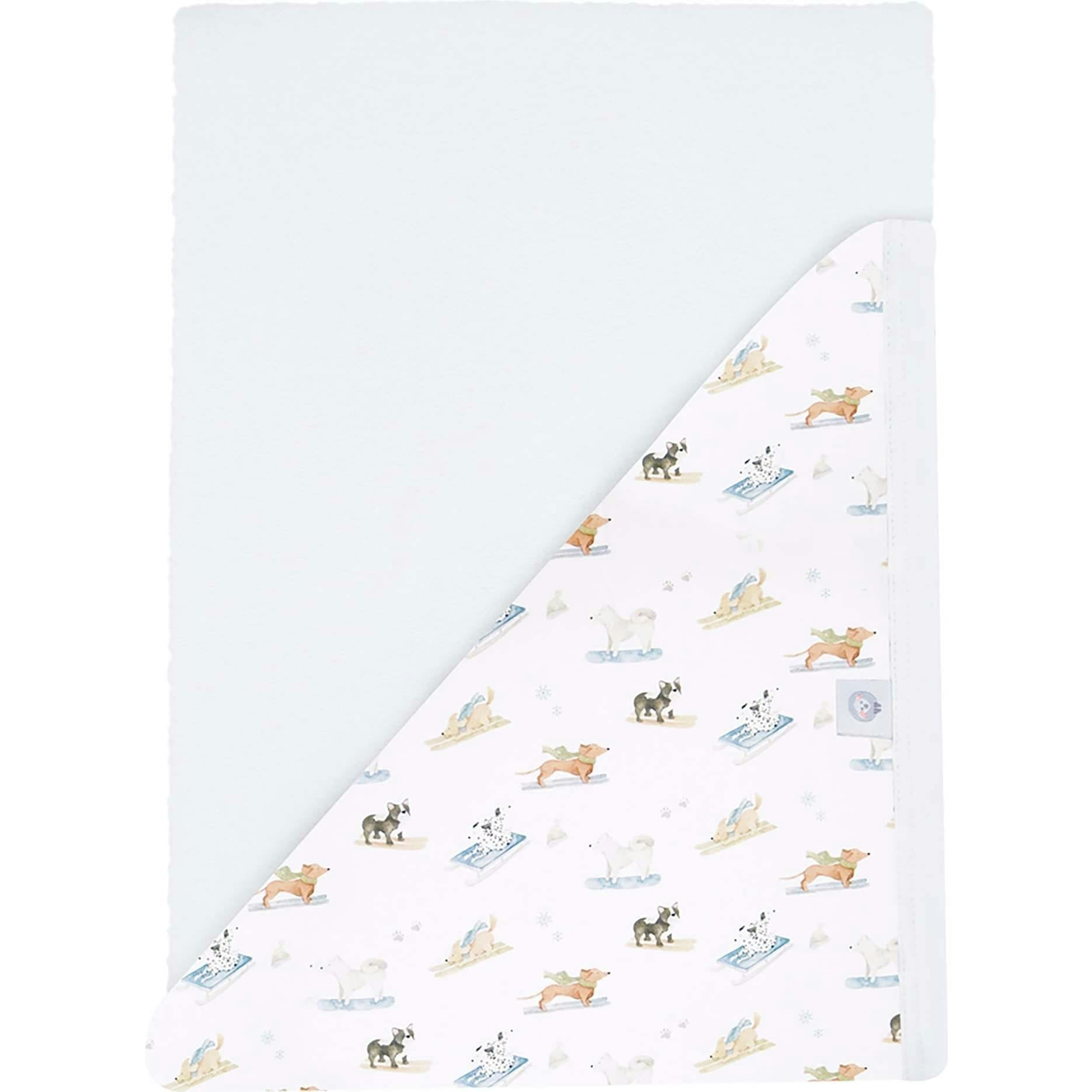 Ski Pups Boy Hooded Towel