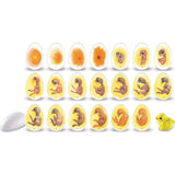 Chick Life Cycle Exploration Set