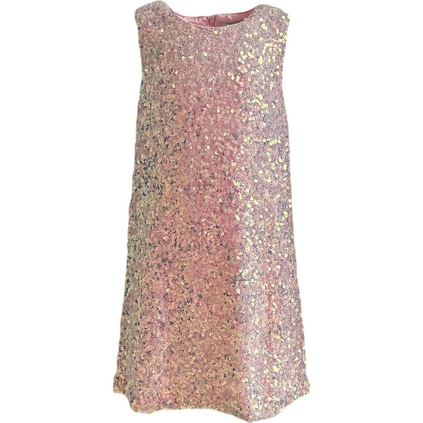 Shimmer & Sequin Sleeveless Dress