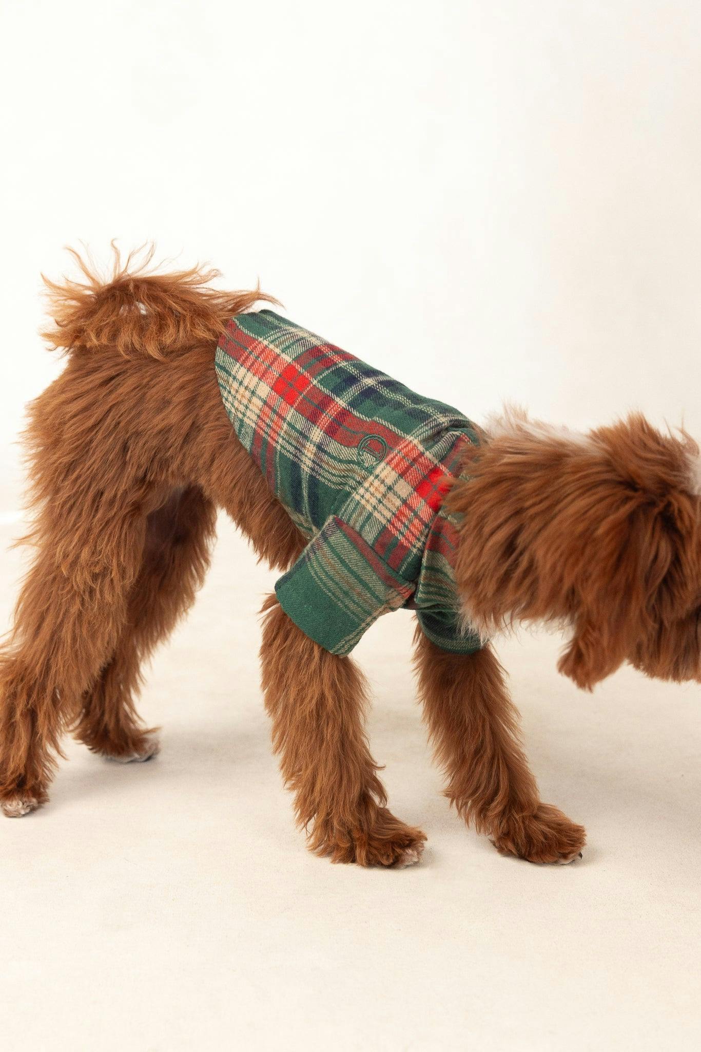 Green Plaid Dog Shirt