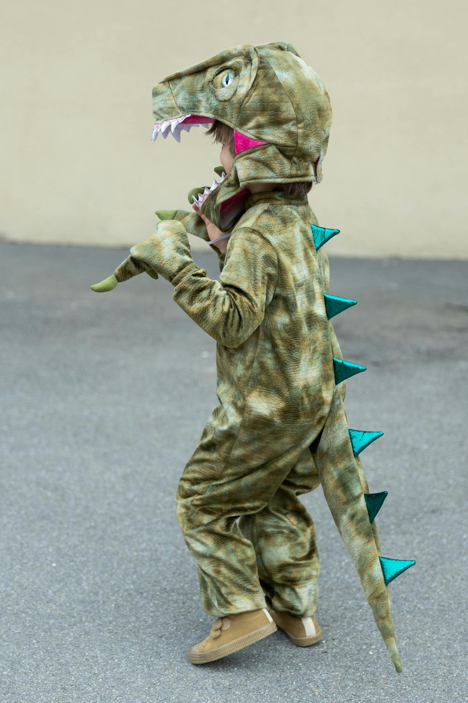 A Land Before Mine Deluxe Raptor