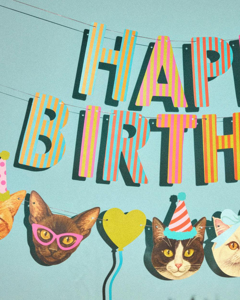 Crazy Cat Banner - really fun party banner