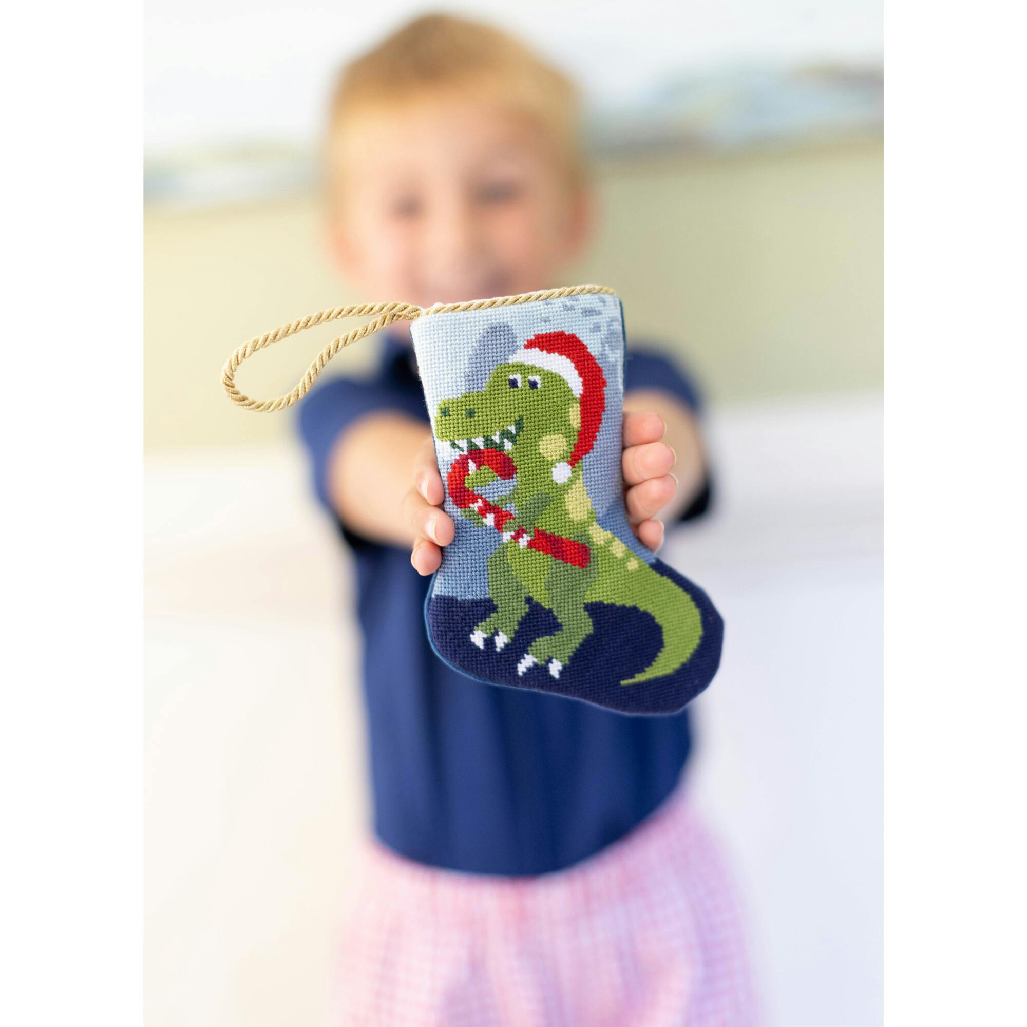 Mini Roar! Stocking