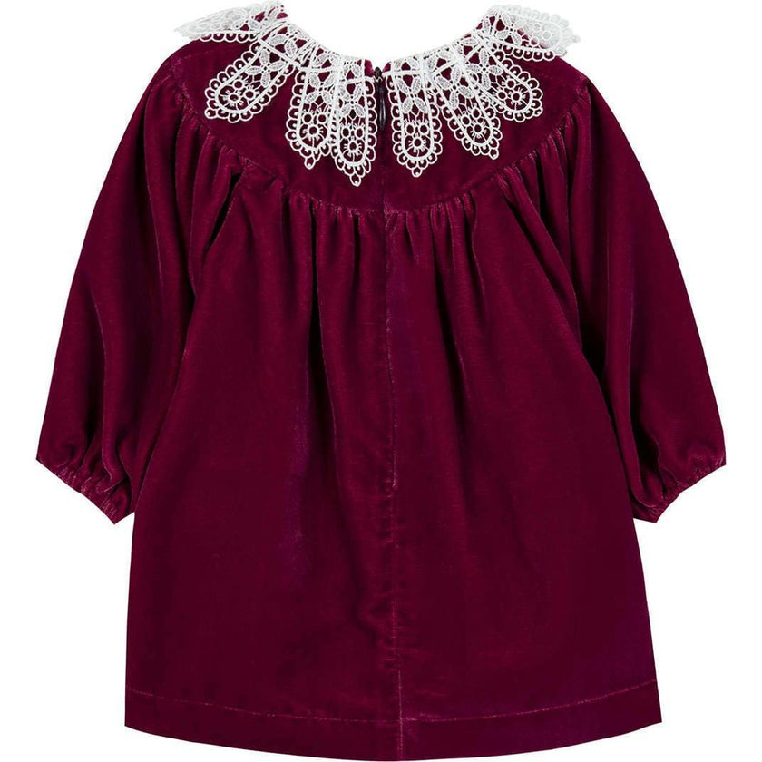 TARTINE ET CHOCOLAT DRESS WITH LACE COLLAR - RHODODENDRON