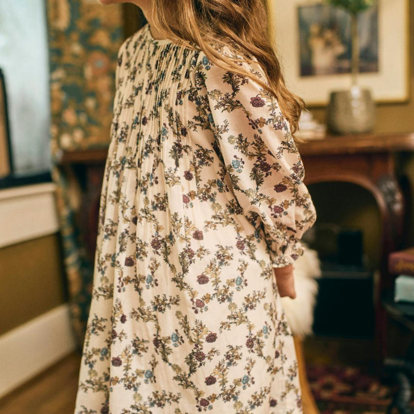 Charlotte Dress in Harvest Toile