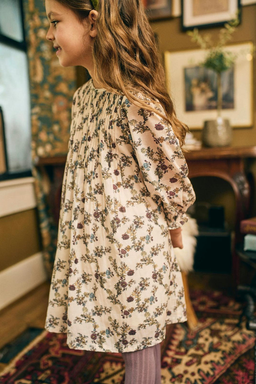 Charlotte Dress in Harvest Toile