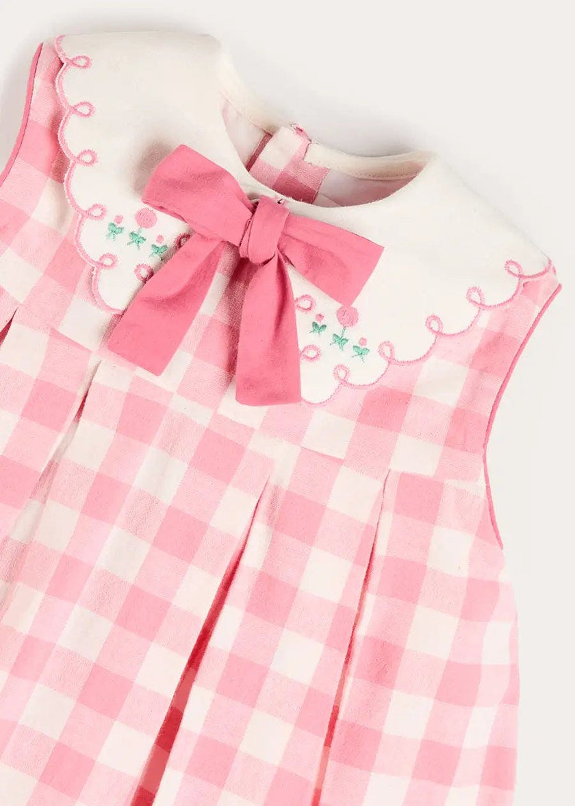 Catherine Gingham Embroidered Sleeveless Trapeze Dress in Pink (12mths- 10yrs)