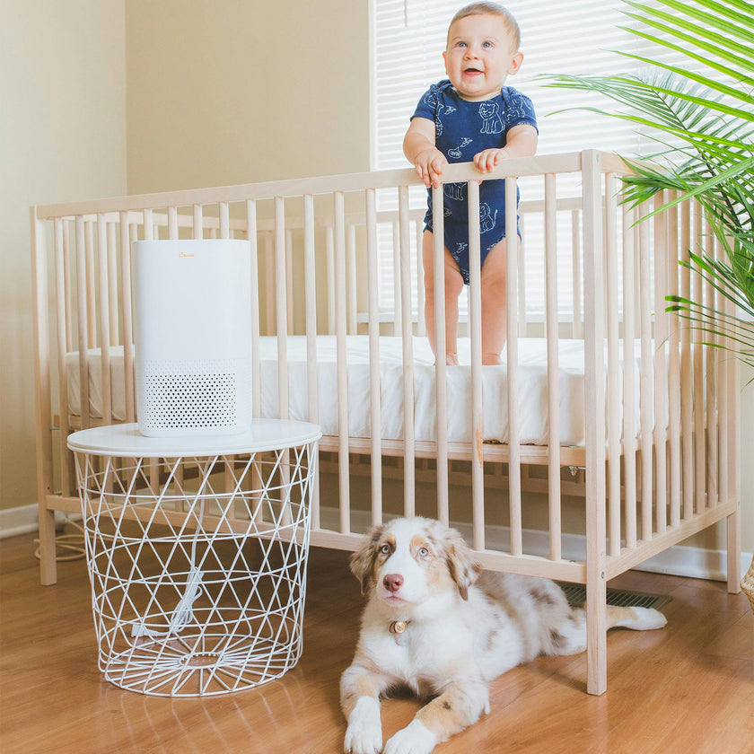 Air Purifier with True HEPA Filter - Up To 250 sq. ft.