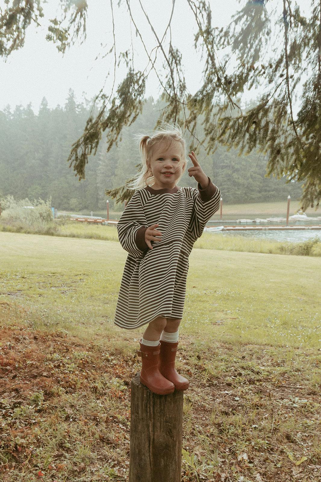 Kelsey Dress in Turtledove Chocolate Stripe