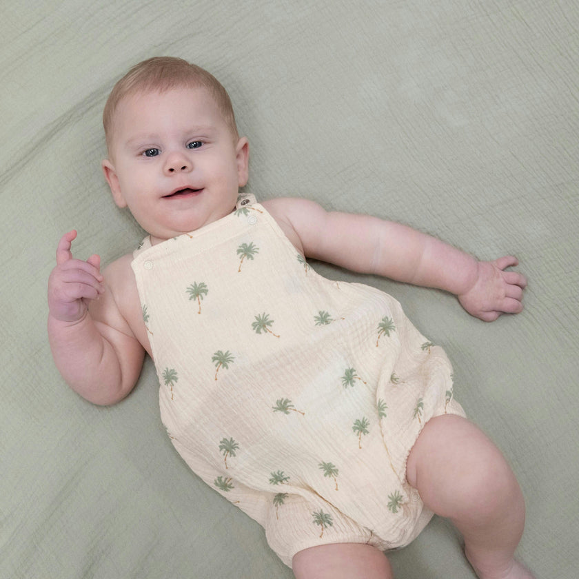 Palm Trees - Sunsuit