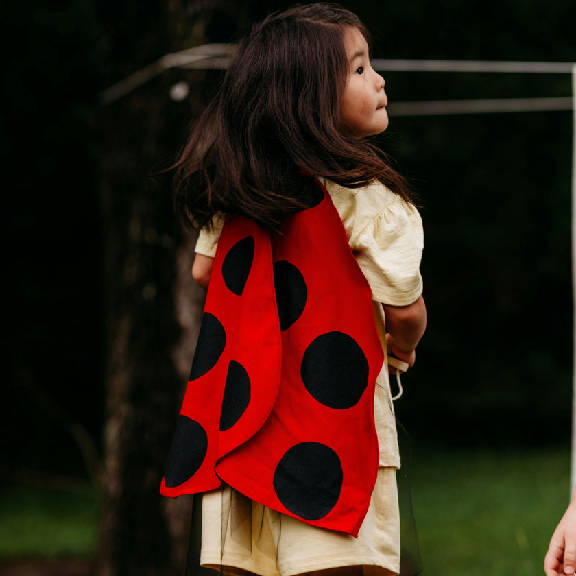 Costume Wings