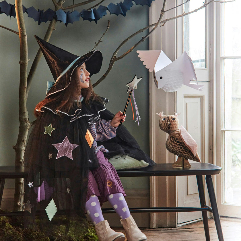 Tulle Appliqué Witch Cape