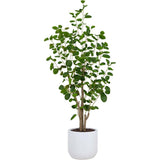 4' Faux Potted Eucalyptus Tree